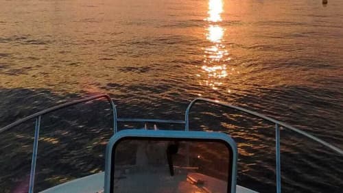 Gallery: image #34