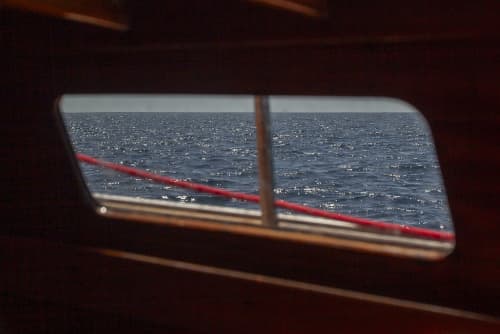 Gallery: image #13
