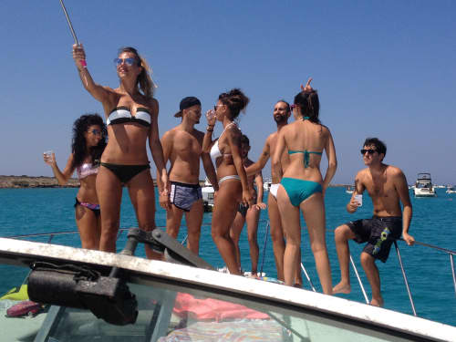 Gallery: image #14