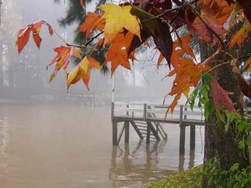 Private half-day river getaway