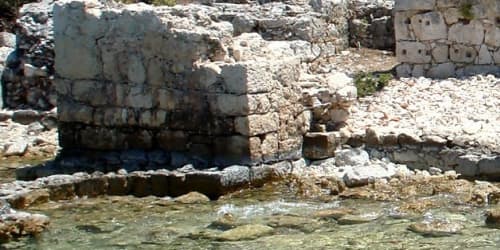 Gallery: image #21