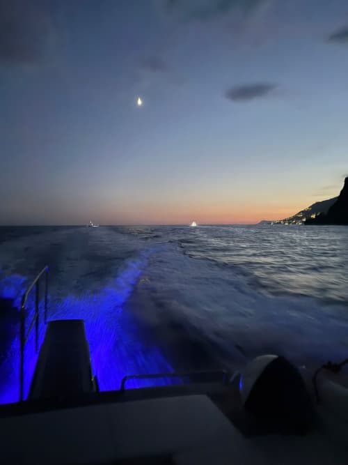 Gallery: image #21