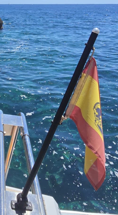 Gallery: image #6