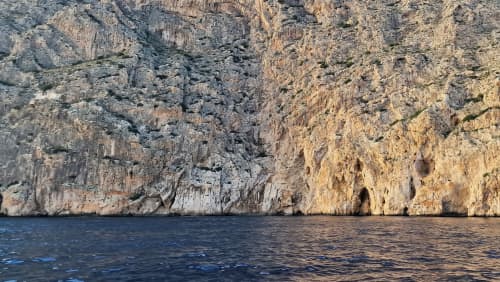 Gallery: image #14