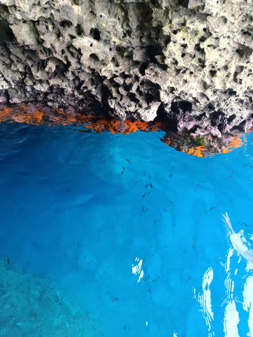 Cover of activity #31056