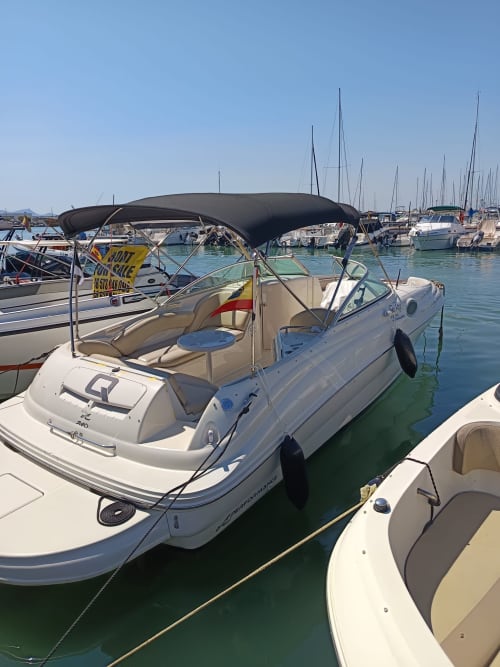 6-HOUR SEA RAY TOUR