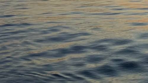 Gallery: image #8