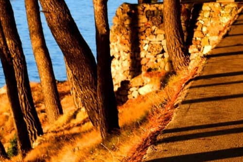 Gallery: image #7