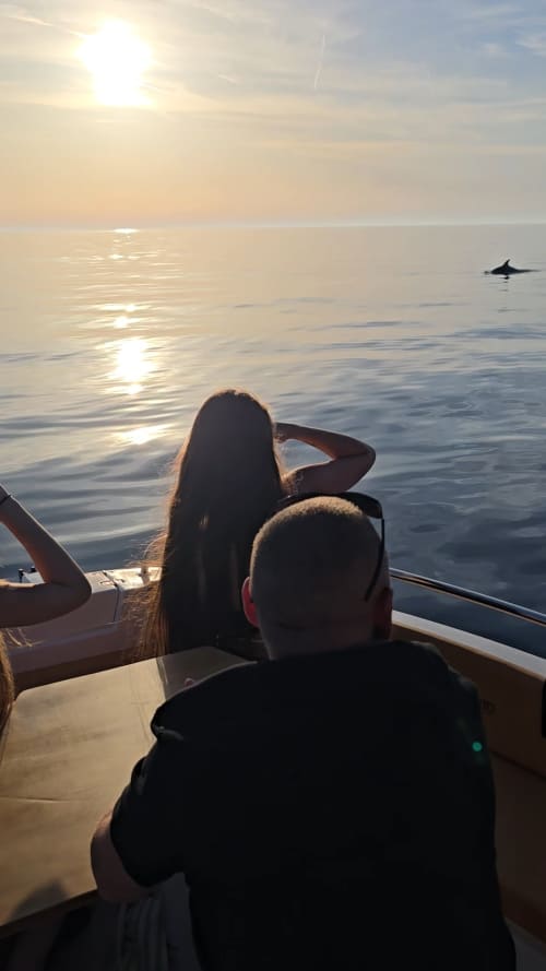 Magic Sunset With Dolphins-Private tour
