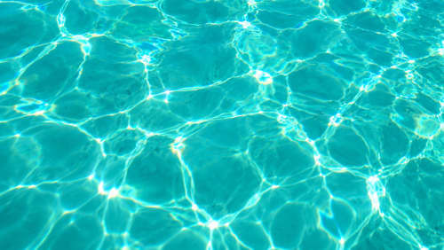 Gallery: image #7