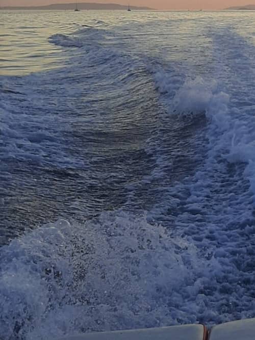Gallery: image #29