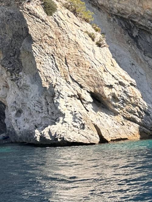Gallery: image #16