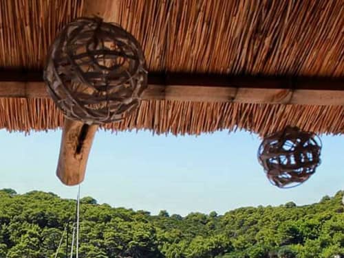 Gallery: image #7