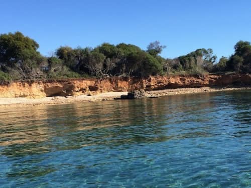 Gallery: image #15