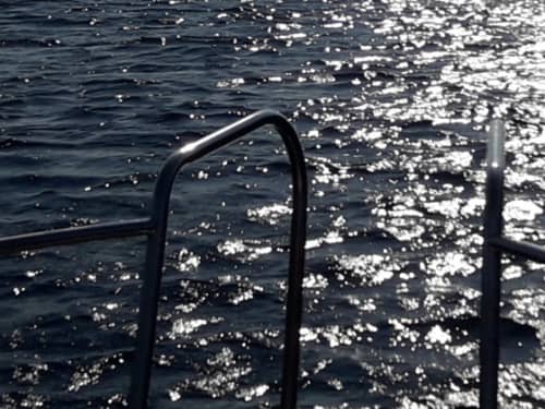 Gallery: image #21