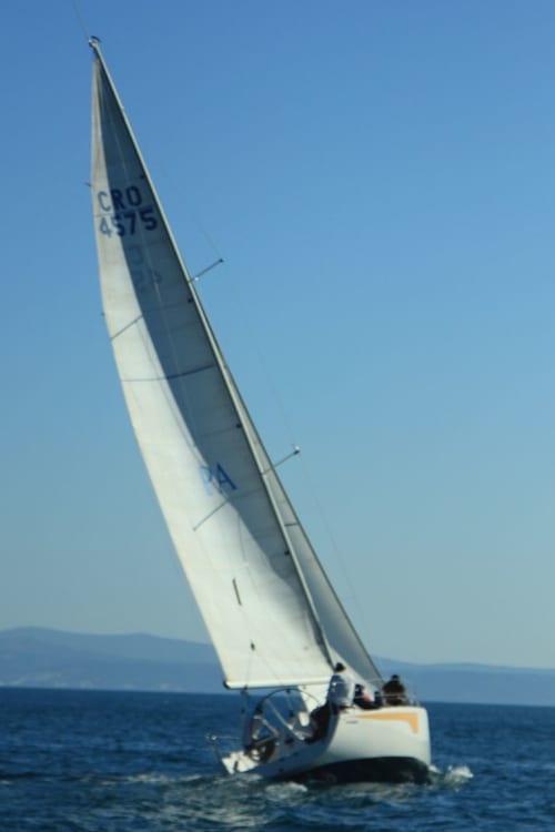 Gallery: image #21