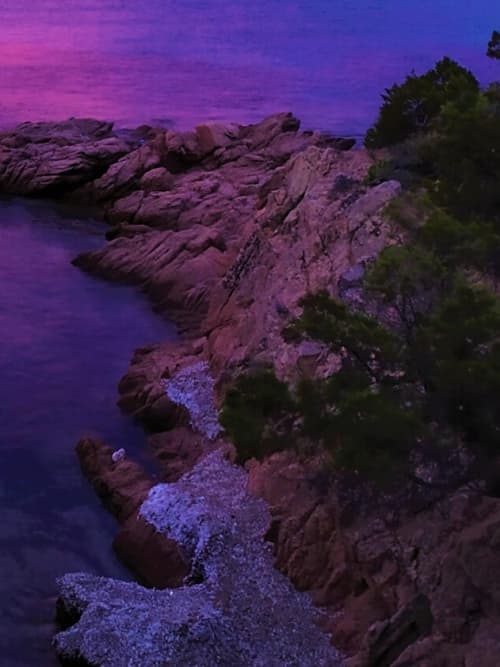 Gallery: image #50