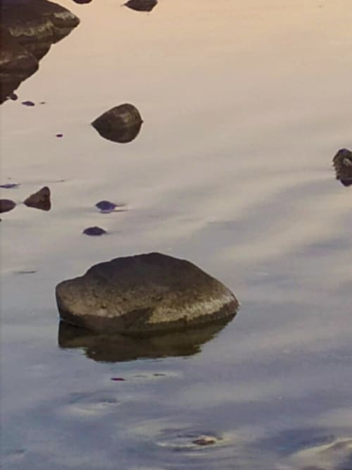 Gallery: image #20