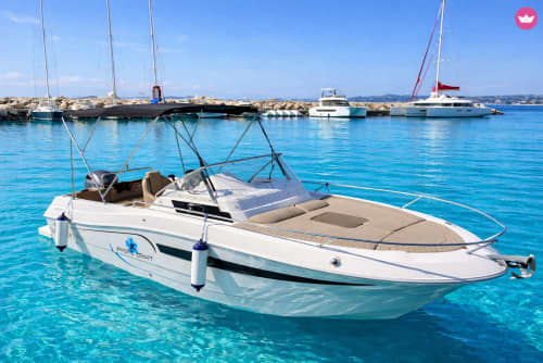 Half-Day Fun at Sea