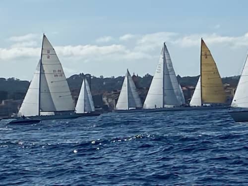 Les voiles de St Tropez