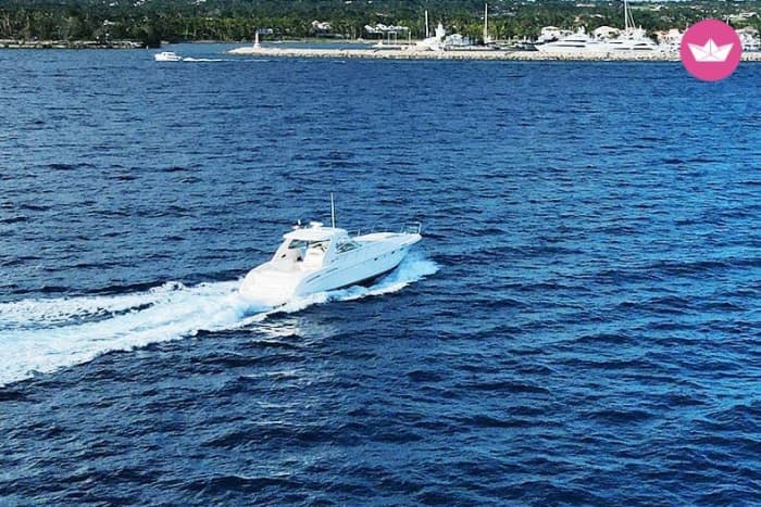 Escapada costera de lujo: crucero en barco a motor de 8 horas