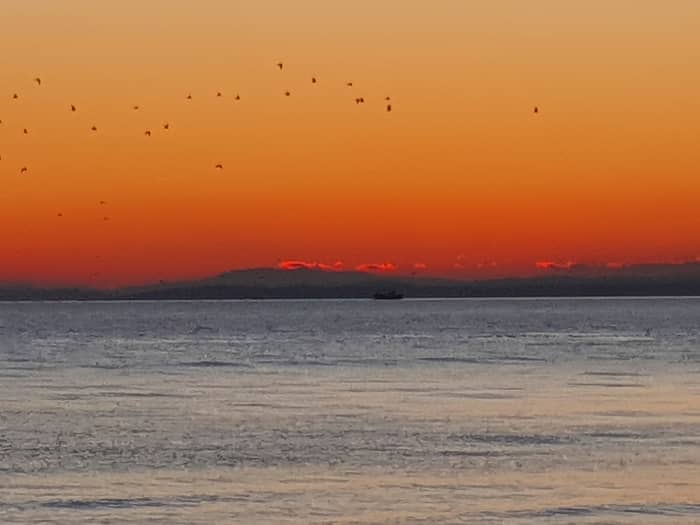 Sunset Marbella Experience