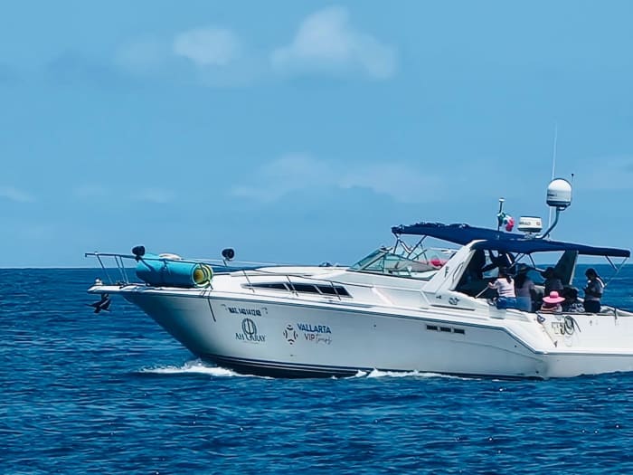 Détente à Puerto Vallarta : 9 heures de soleil sur un bateau à moteur