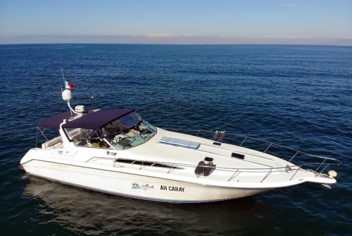 Détente à Puerto Vallarta : 9 heures de soleil sur un bateau à moteur