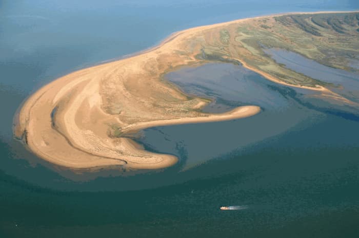 Ontdek L'Aiguillon-la-Presqu'ile op een catamaran voor een volledige dag