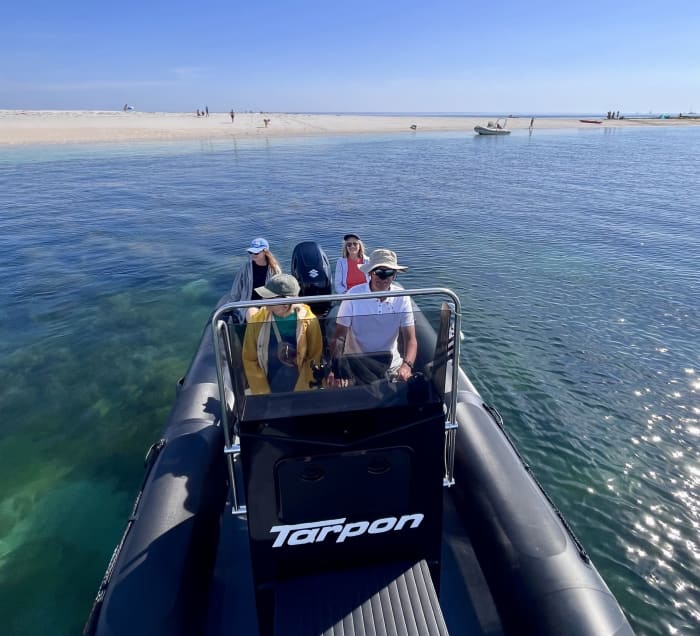 Discover La Forêt-Fouesnant on a full-day trip on a motorboat