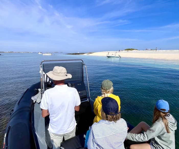 Discover La Forêt-Fouesnant on a full-day trip on a motorboat