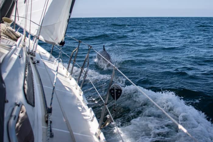 Experience La Rochelle like never before on a sailboat