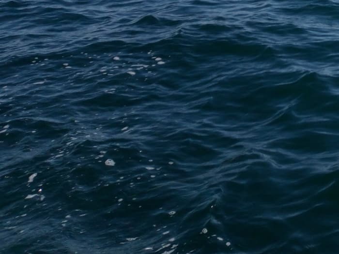 Iniziate la vostra vacanza con 3 ore e mezza di divertimento su un motoscafo.