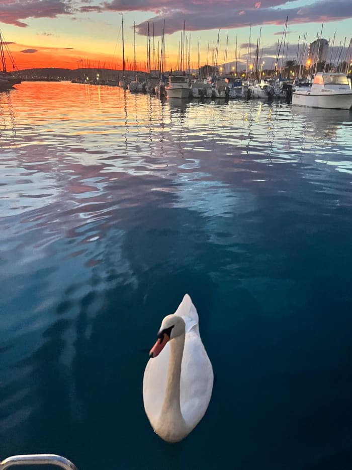 Segeln bei Sonnenuntergang in der idyllischen Bucht von Villefranche-sur-Mer