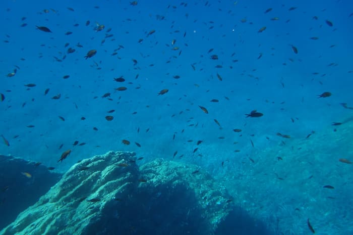 Journée en mer mémorable, tout inclus, au départ de Sanary-sur-mer