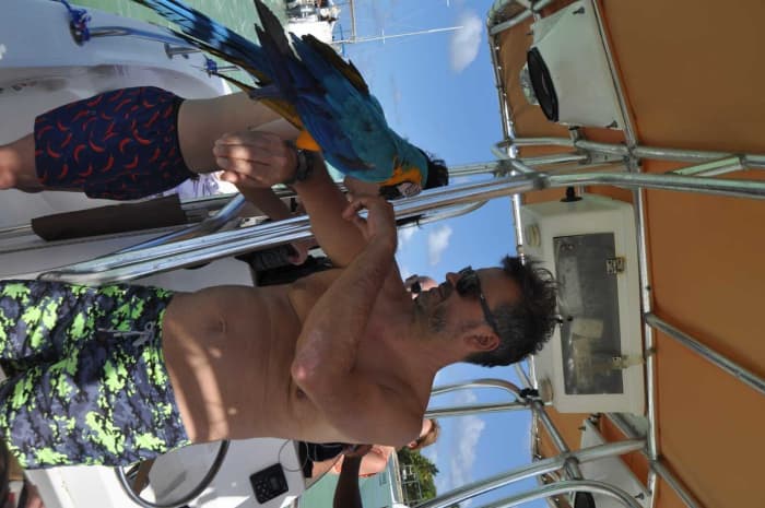 Entdecken Sie Punta Cana auf einem Ganztagesausflug mit dem Motorboot