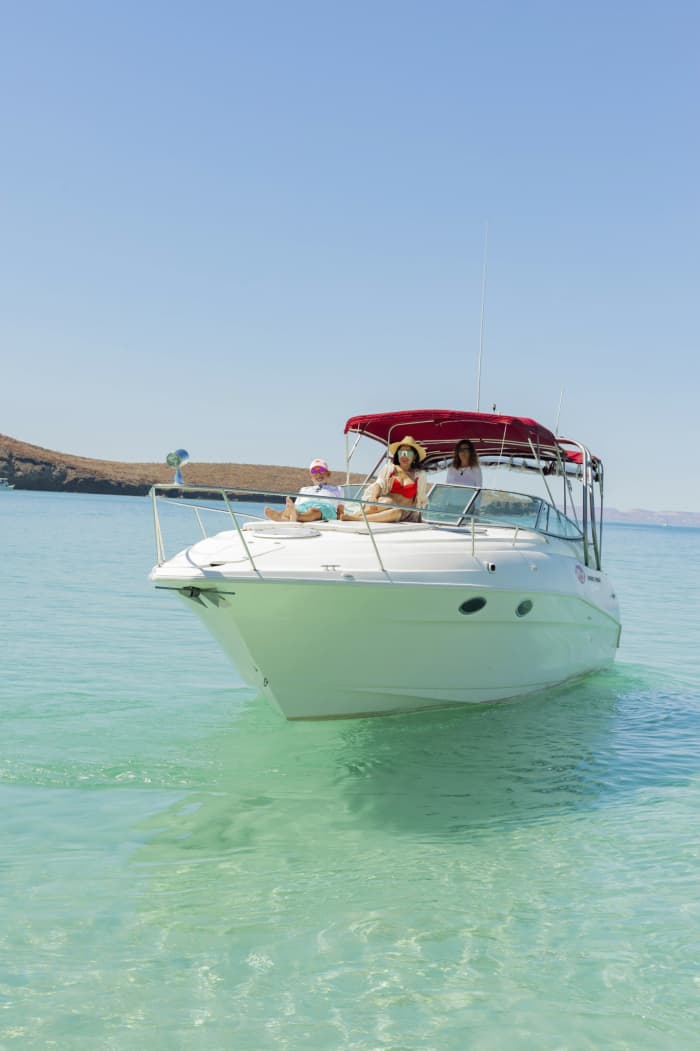 Discover La Paz on a full-day motorboat trip