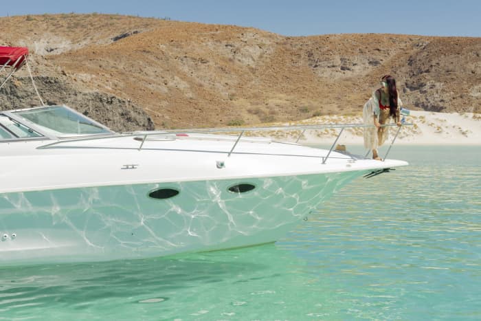Discover La Paz on a full-day motorboat trip