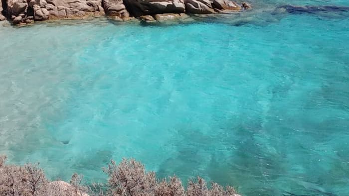 Excursion to La Maddalena Island