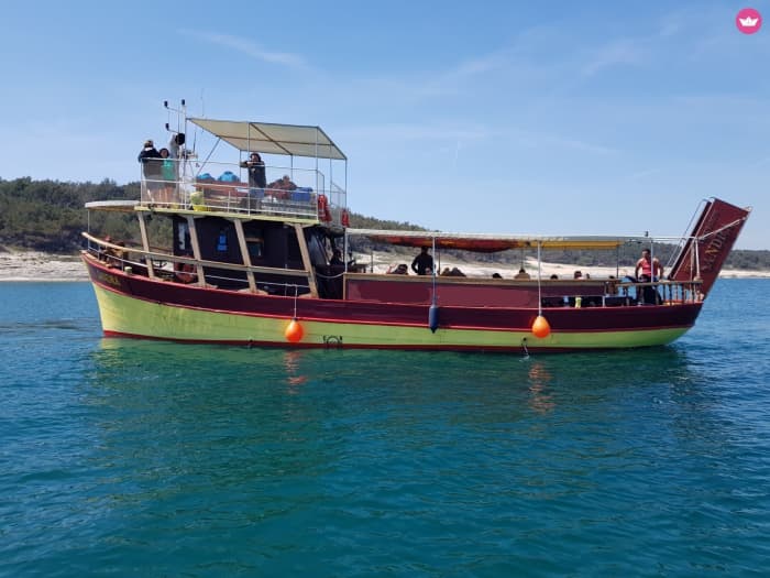 Explore Medulin by boat: A full day on the water aboard a motorboat