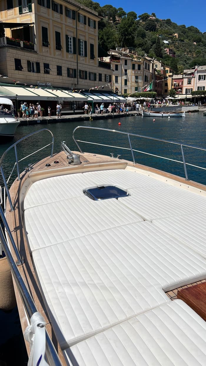 Halbtägige Bootstour in Portofino mit einem Motorboot