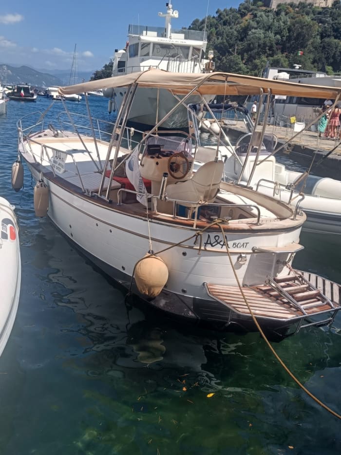 Halbtägige Bootstour in Portofino mit einem Motorboot
