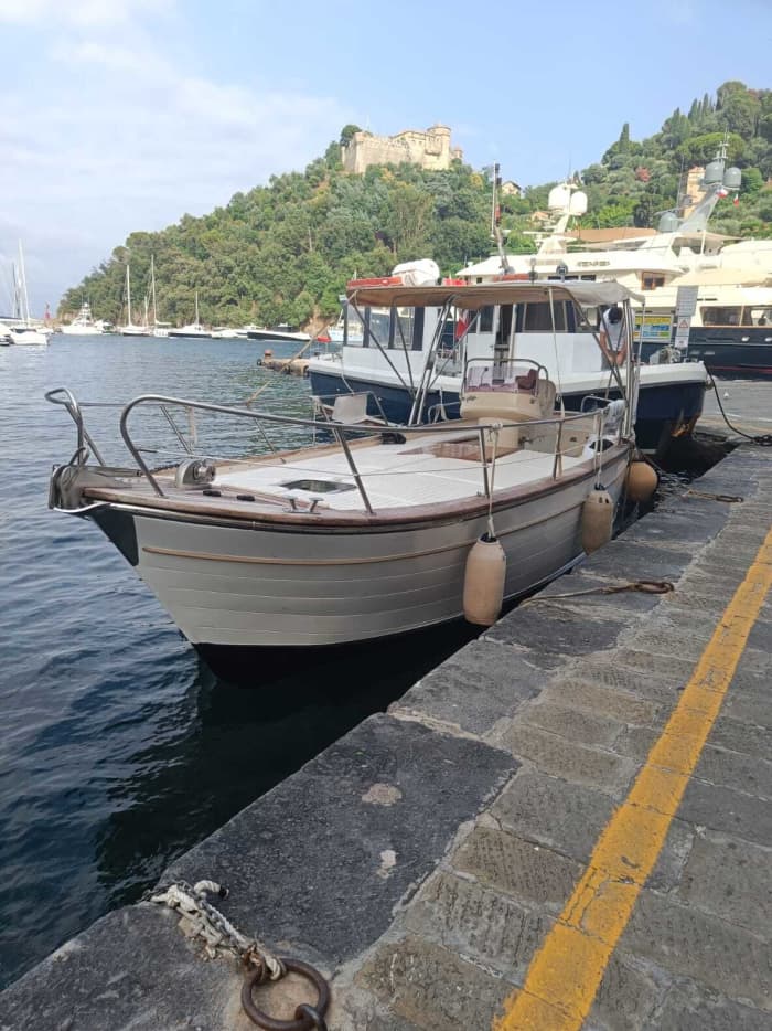Halbtägige Bootstour in Portofino mit einem Motorboot