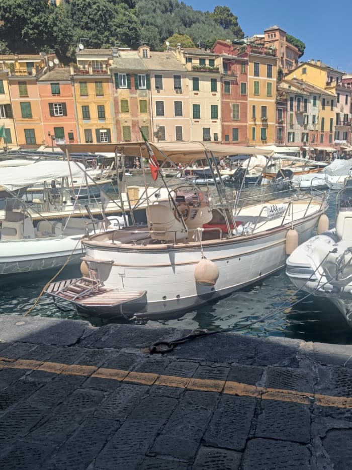 Halbtägige Bootstour in Portofino mit einem Motorboot