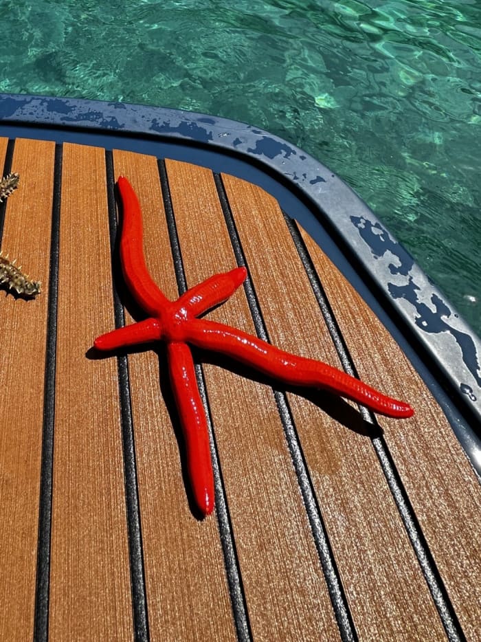 Privé boottocht rond Bar op een motorboot.