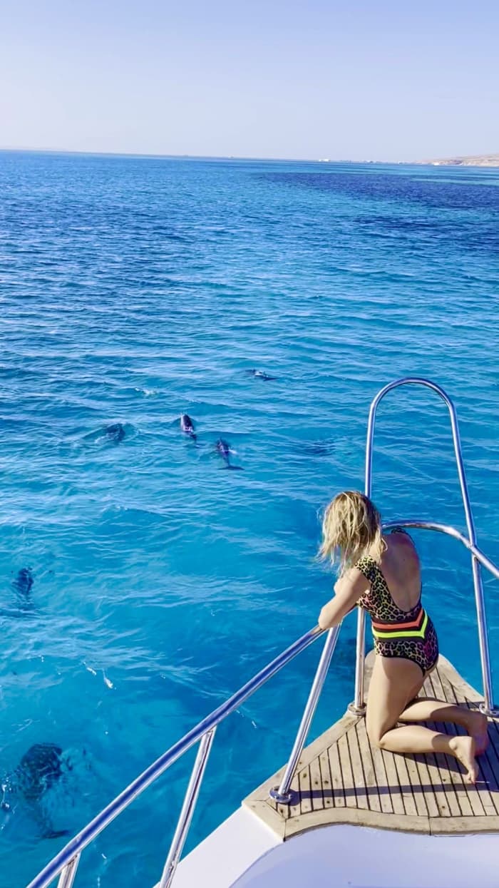 Rencontre avec les dauphins