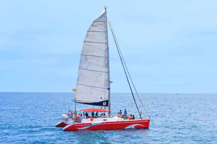 Experience Barcelona in a unique way on a private catamaran
