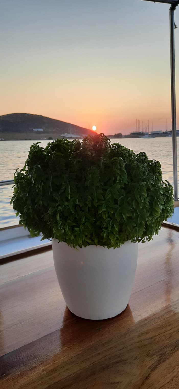 2h30 in Paros: Rent a motorboat and enjoy