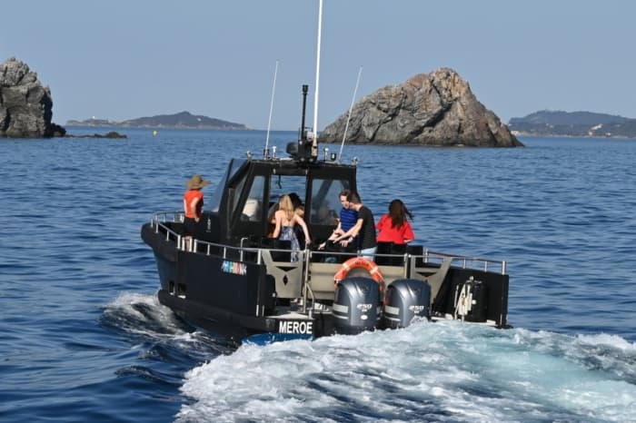 Location de bateau à moteur à la demi-journée à Hyères
