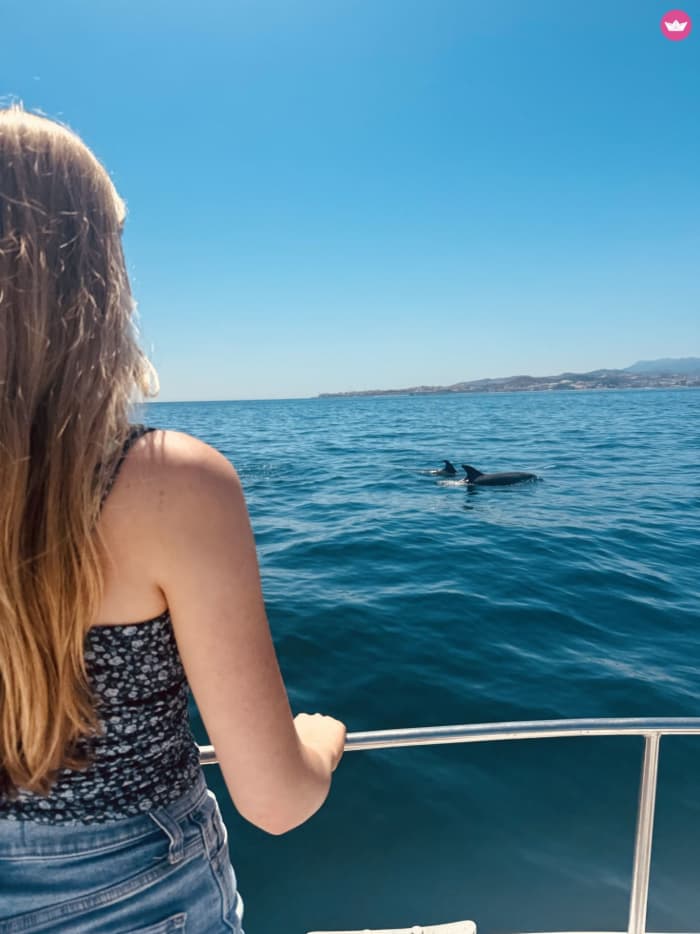 Escapada de día completo al mar de 6 horas